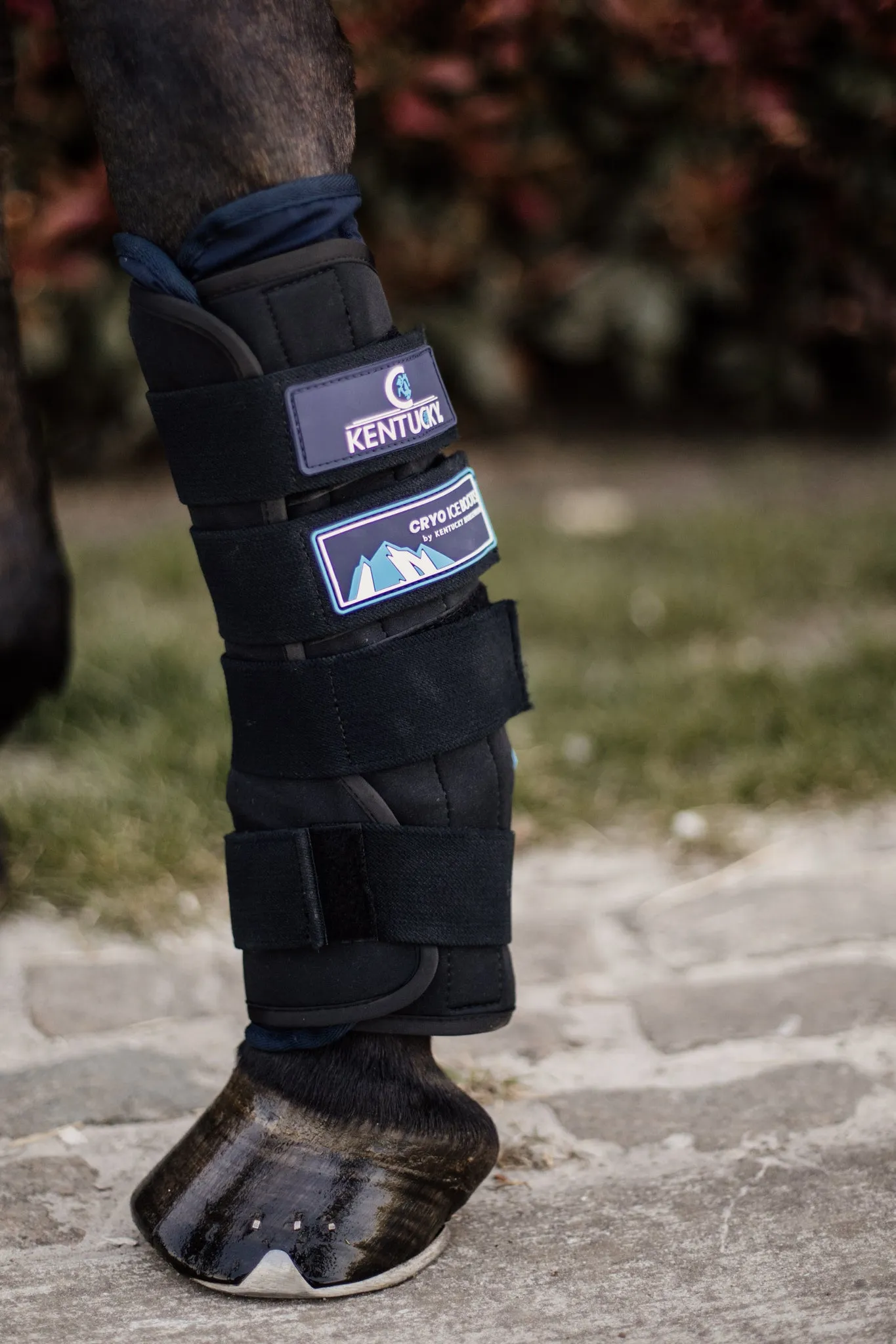 Cryo Ice Boots