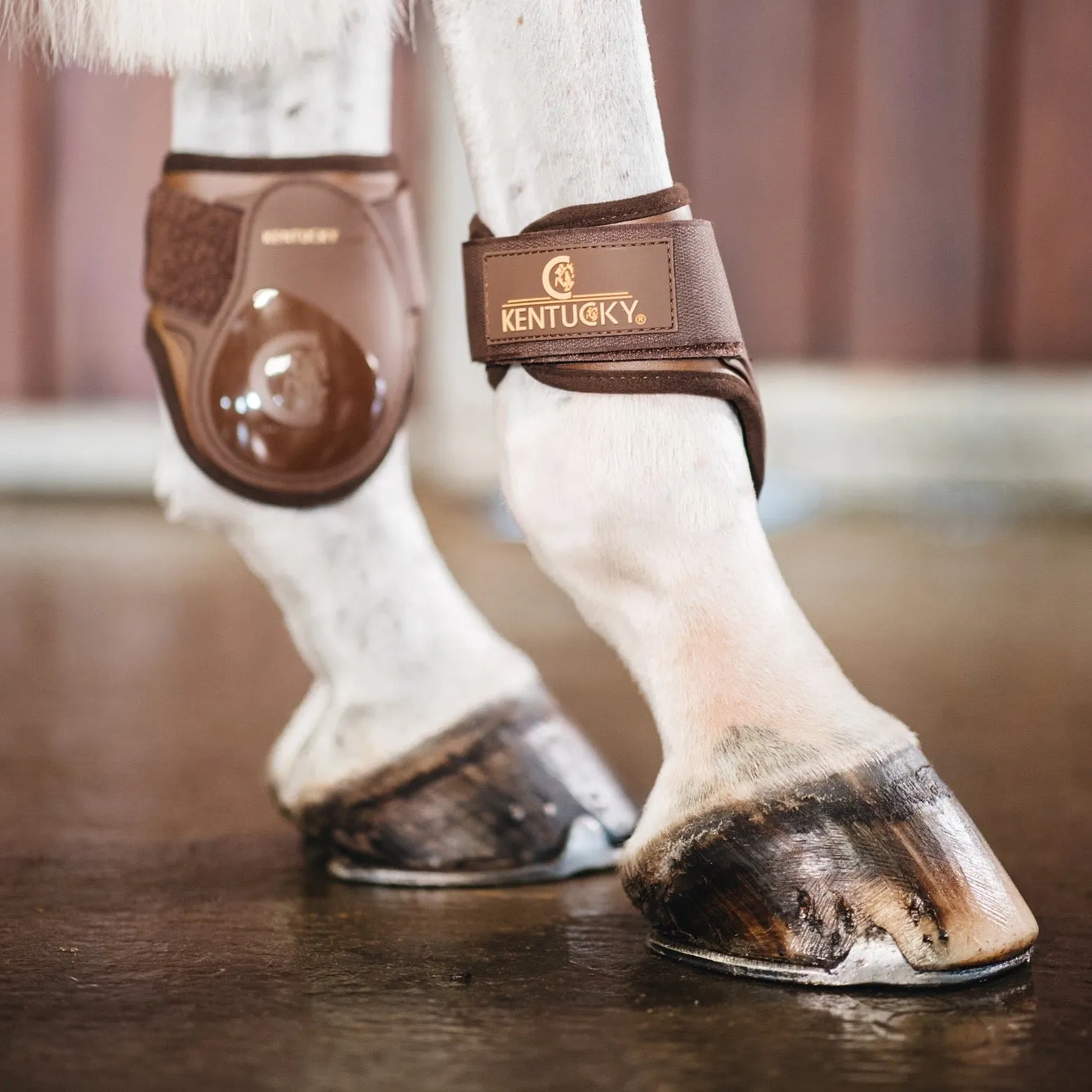 Young Horse Fetlock Boots